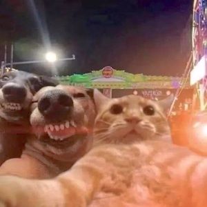 Meet your Posher, Maria